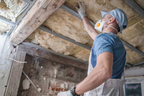 Best Insulation Materials and Products in Mount Pleasant, WI