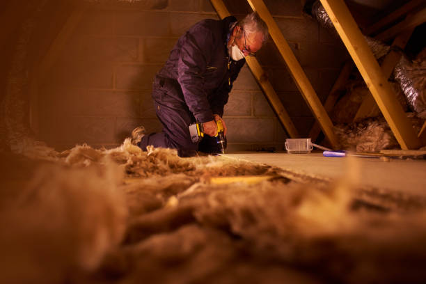 Best Types of Insulation in Mount Pleasant, WI